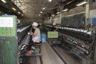 南陽市化纖紡織廠舉辦2013年度職工技術(shù)比賽活動