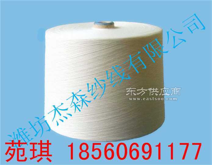 廠家直銷10支環(huán)錠紡滌綸紗全滌紗純滌紗大化纖紗圖片